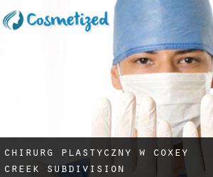Chirurg Plastyczny w Coxey Creek Subdivision