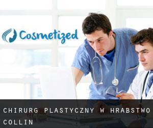 Chirurg Plastyczny w Hrabstwo Collin Chirurg Plastyczny w Hrabstwo Collin