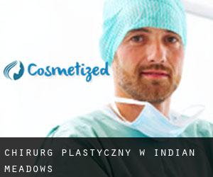 Chirurg Plastyczny w Indian Meadows