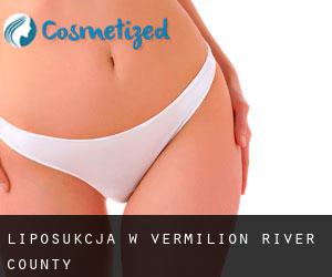 Liposukcja w Vermilion River County