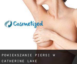Powiększanie piersi w Catherine Lake