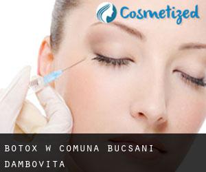 Botox w Comuna Bucşani (Dâmboviţa)