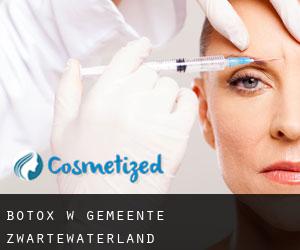Botox w Gemeente Zwartewaterland