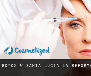 Botox w Santa Lucía La Reforma