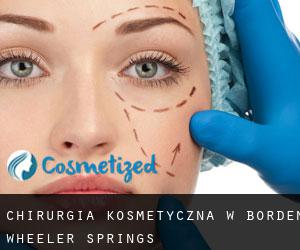 Chirurgia kosmetyczna w Borden Wheeler Springs