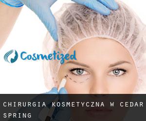 Chirurgia kosmetyczna w Cedar Spring