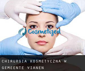 Chirurgia kosmetyczna w Gemeente Vianen
