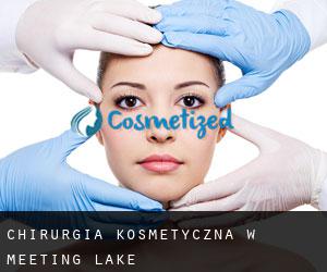 Chirurgia kosmetyczna w Meeting Lake
