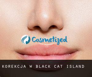 Korekcja w Black Cat Island