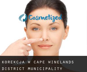 Korekcja w Cape Winelands District Municipality