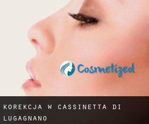 Korekcja w Cassinetta di Lugagnano