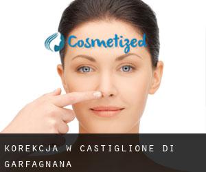 Korekcja w Castiglione di Garfagnana