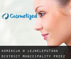 Korekcja w Lejweleputswa District Municipality przez główne miasto - strona 1