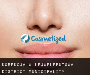 Korekcja w Lejweleputswa District Municipality