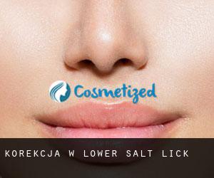 Korekcja w Lower Salt Lick
