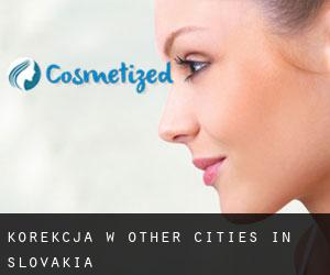 Korekcja w Other Cities in Slovakia