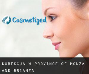 Korekcja w Province of Monza and Brianza