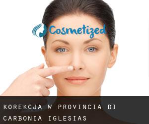 Korekcja w Provincia di Carbonia-Iglesias