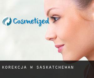 Korekcja w Saskatchewan Korekcja w Saskatchewan