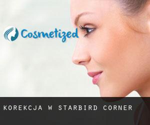 Korekcja w Starbird Corner
