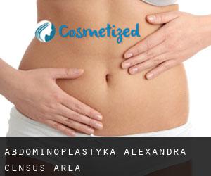 Abdominoplastyka Alexandra (census area)