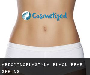Abdominoplastyka Black Bear Spring