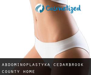 Abdominoplastyka Cedarbrook County Home