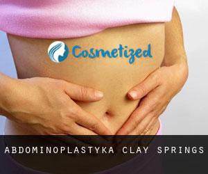 Abdominoplastyka Clay Springs