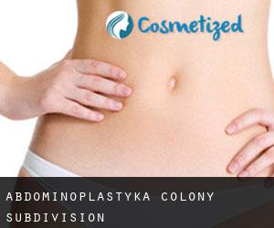 Abdominoplastyka Colony Subdivision