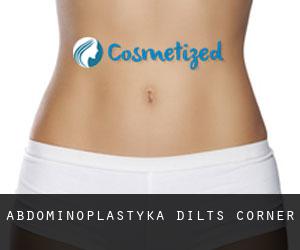 Abdominoplastyka Dilts Corner