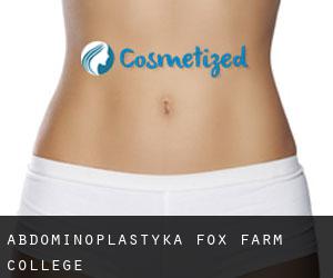 Abdominoplastyka Fox Farm-College