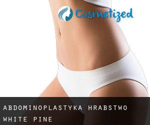 Abdominoplastyka Hrabstwo White Pine