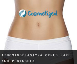 Abdominoplastyka Okreg Lake and Peninsula