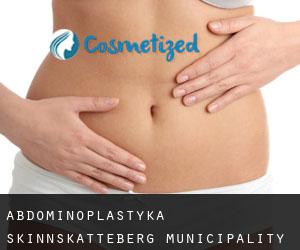 Abdominoplastyka Skinnskatteberg Municipality