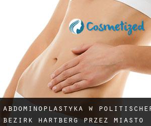 Abdominoplastyka w Politischer Bezirk Hartberg przez miasto - strona 1