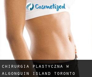 chirurgia plastyczna w Algonquin Island (Toronto county, Ontario)