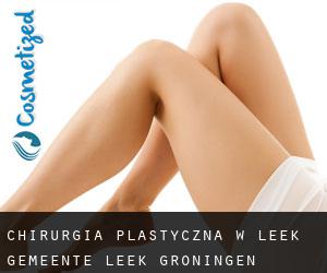 chirurgia plastyczna w Leek (Gemeente Leek, Groningen)