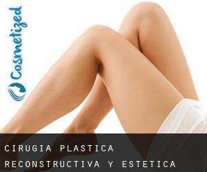 Cirugia Plastica Reconstructiva Y Estetica Bracho (Quito)