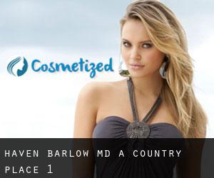 Haven Barlow, MD (A Country Place) #1